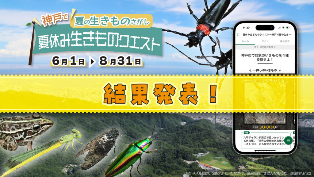 「神戸で夏の生きものさがし」結果発表！