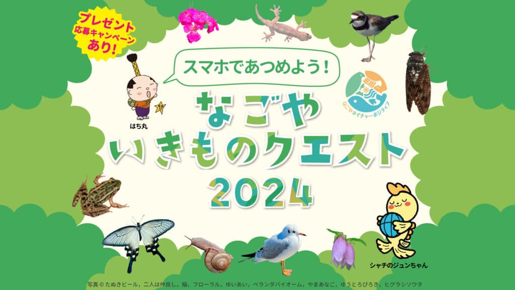 今年もチャレンジ！なごやいきものクエスト2024
