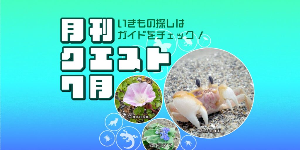 7月のクエスト一覧
