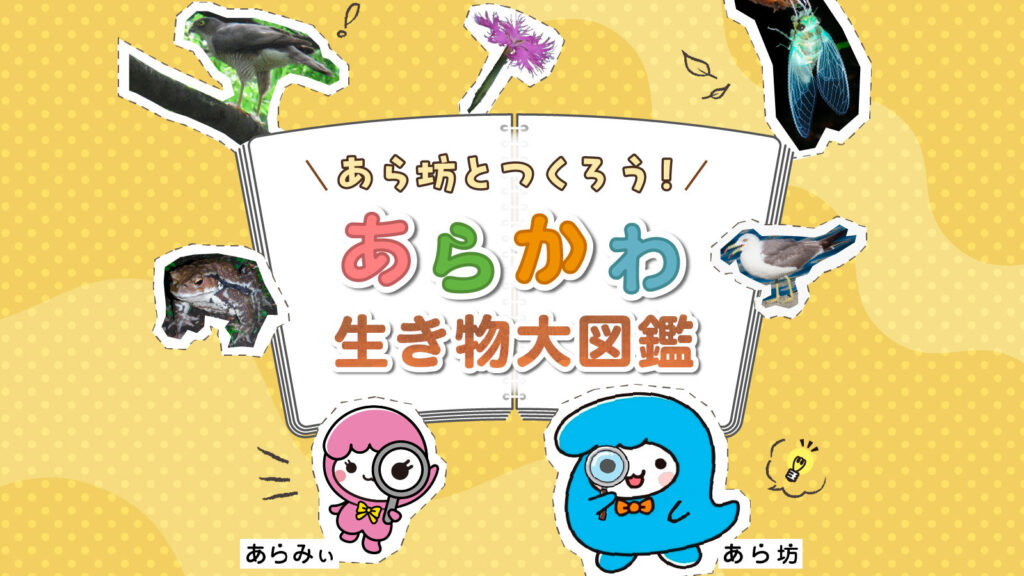 あら坊と探そう！荒川区で生き物探し