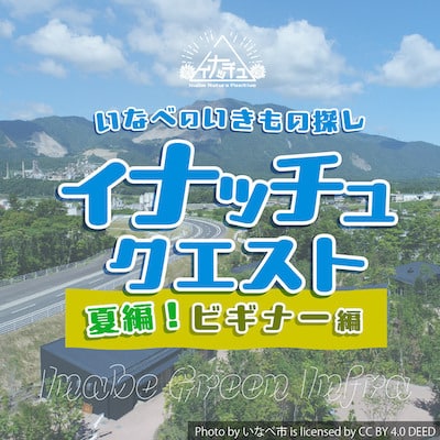 イナッチュクエスト（夏）～ビギナー編～