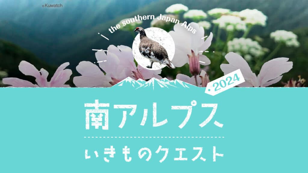 【井川山林×バイオーム】南アルプスいきものクエスト2024