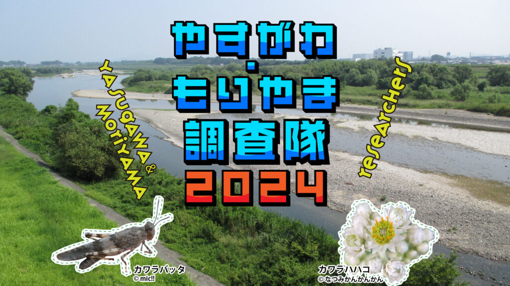野洲川（滋賀県）・守山市（滋賀県）のいきものを探そう！