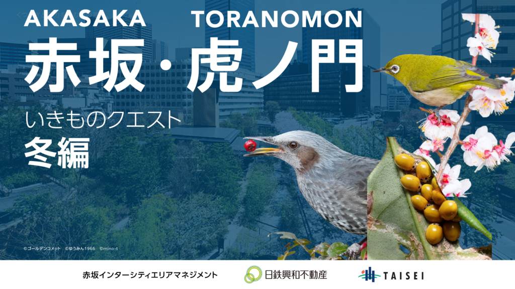 みどりが広がるオフィス街「赤坂・虎ノ門エリア」で冬のいきものを探そう！