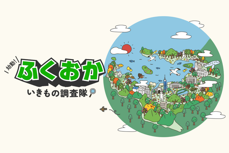 【福岡市×バイオーム】始動！ふくおかいきもの調査隊
