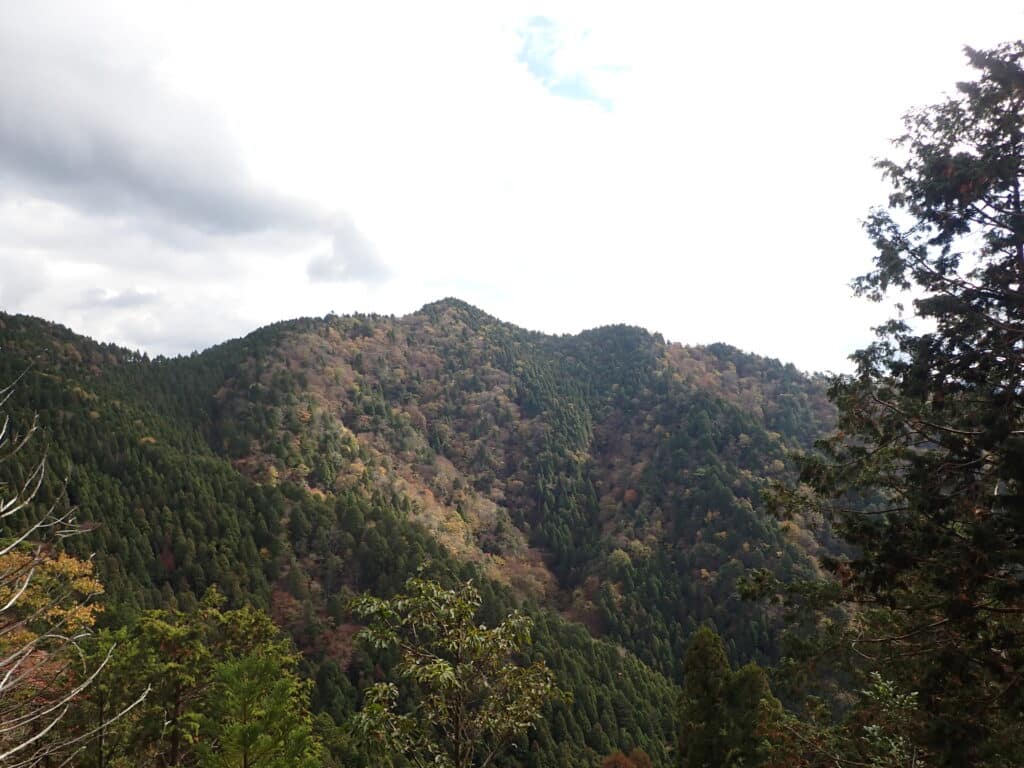 山
