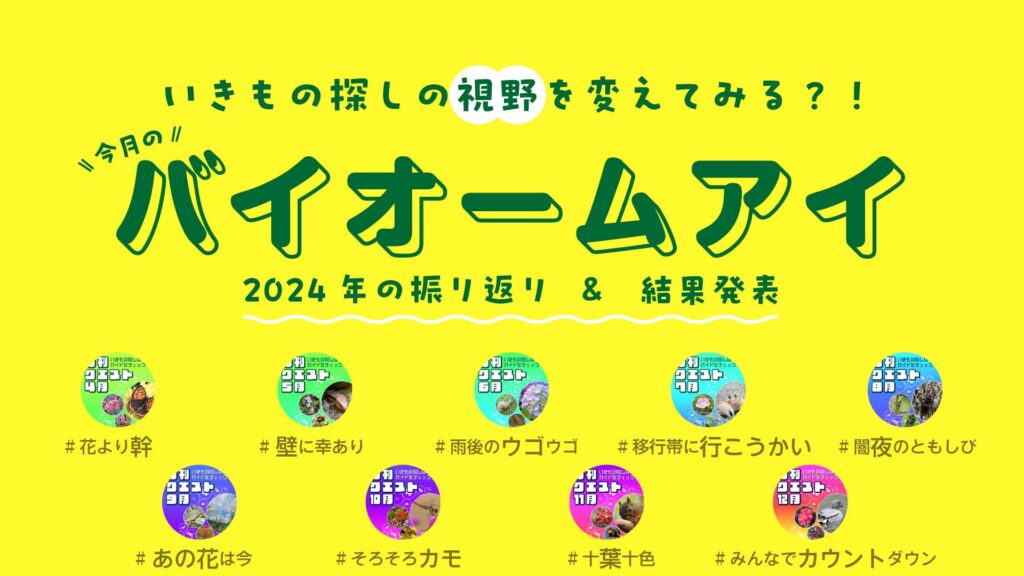 シーズン到来を前にふりかえる　#今月のバイオームアイ