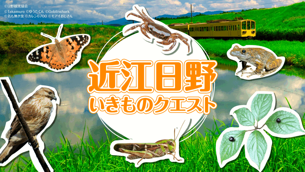 【日野町×バイオーム】近江日野いきものクエスト