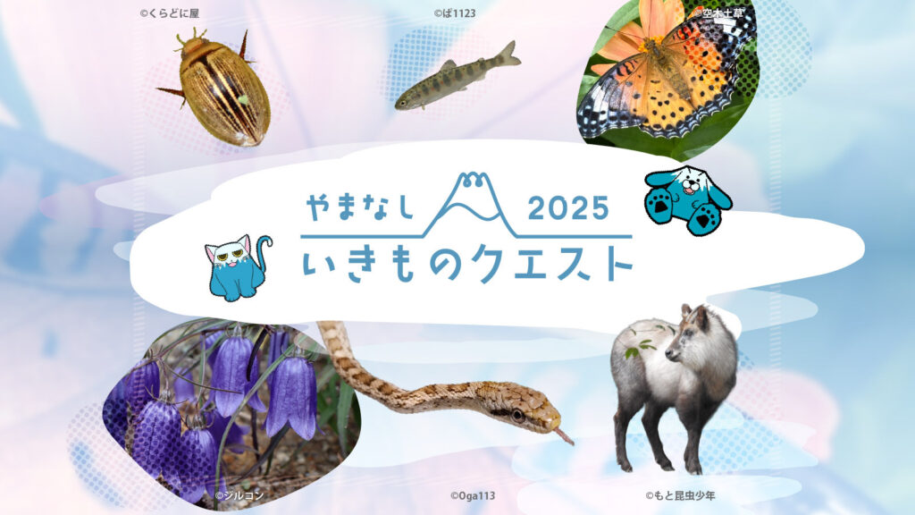 【山梨県富士山科学研究所×バイオーム】やまなしいきものクエスト2025