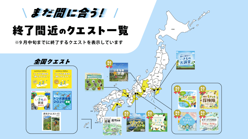 まだ間に合う！終了間近のクエスト一覧