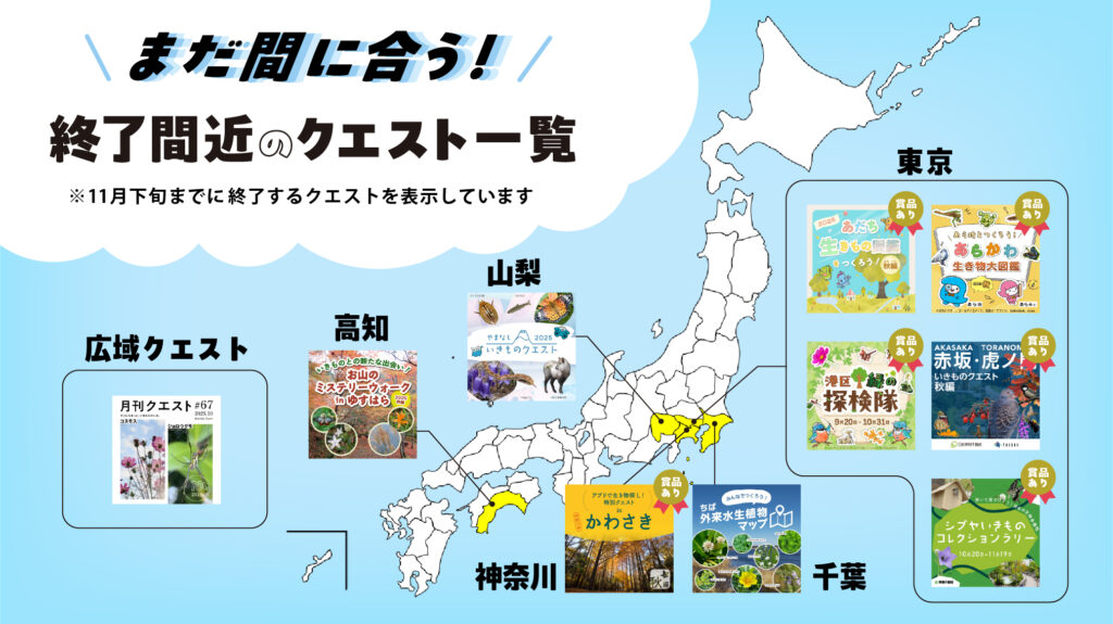 【2025年10月24日時点】まだ間に合う！終了間近のクエスト一覧