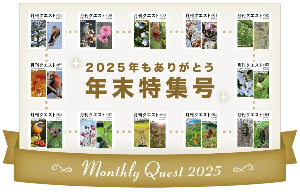 2025年のマンスリー振り返り