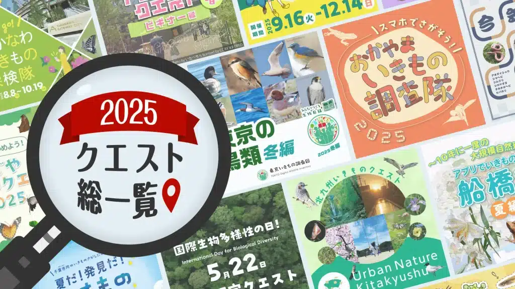【2025年】クエスト総一覧