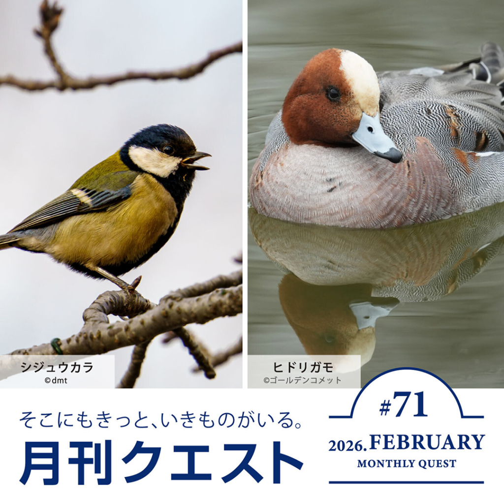 2月マンスリー：音をヒントにいきものを探そう