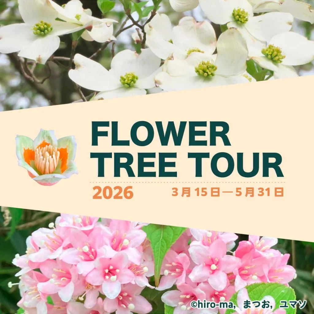 Flower Tree Tour 2026