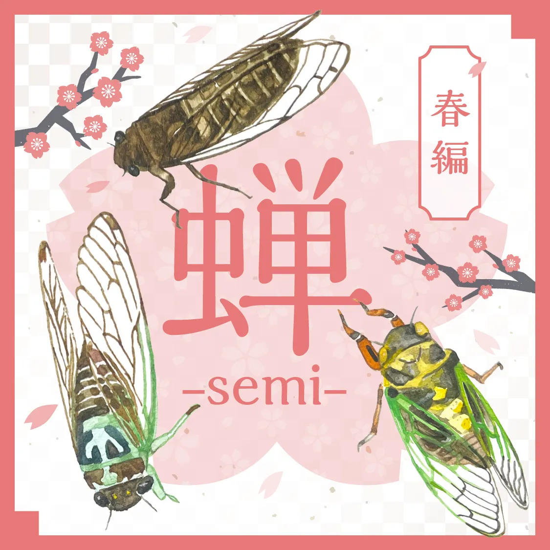蝉 ～semi～ 春編 - いきもの発見日和 by バイオーム
