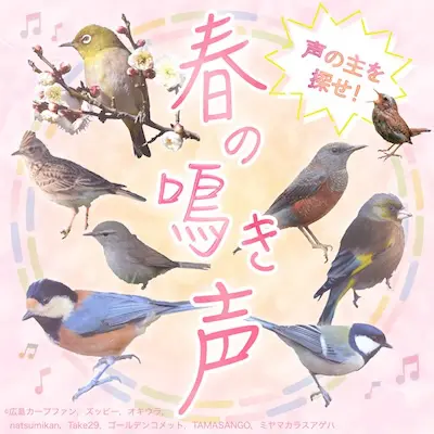 声の主を探せ！春の鳴き声クエスト2026