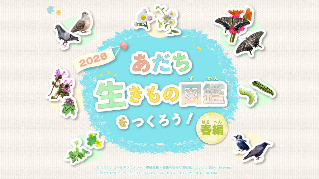 今年のテーマは「あだち・生きもの探偵」！あだち生きもの図鑑をつくろう！2026春編