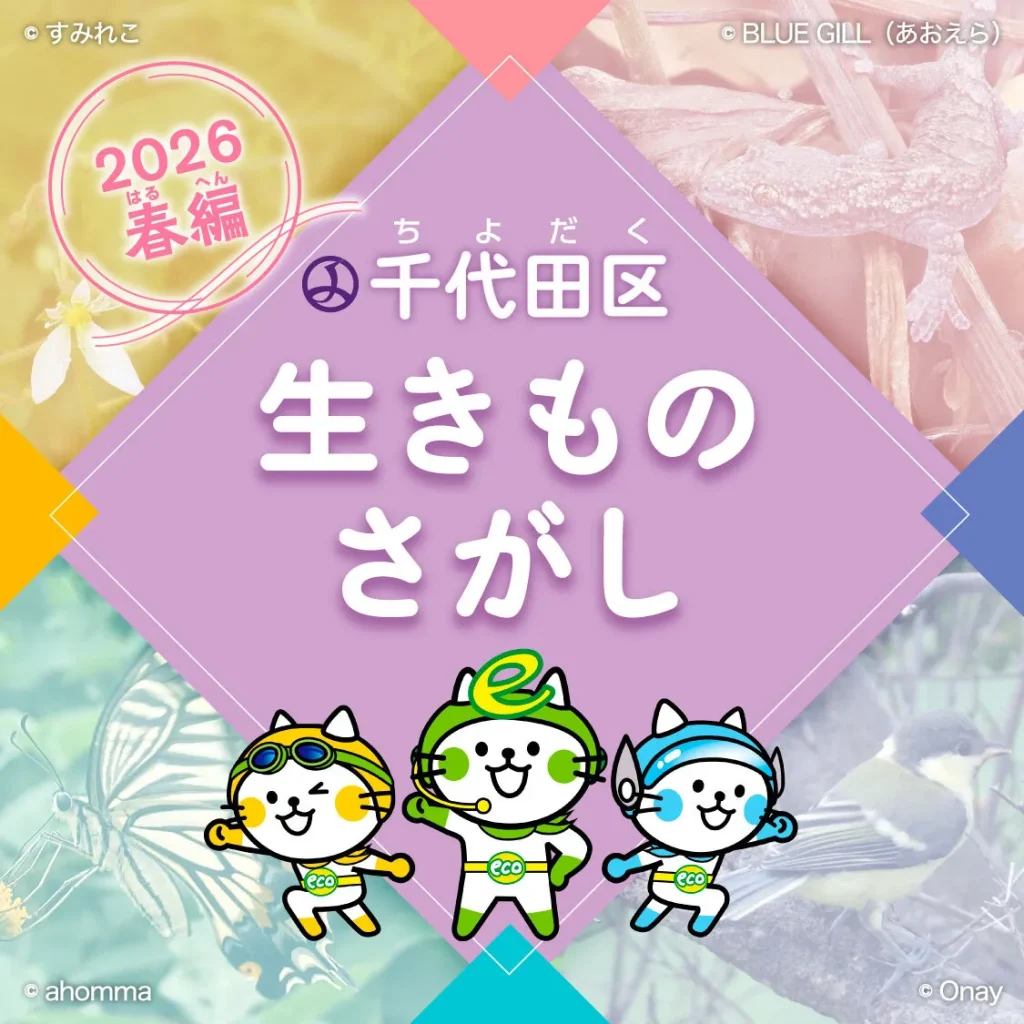 千代田区いきものさがし 2026 春編