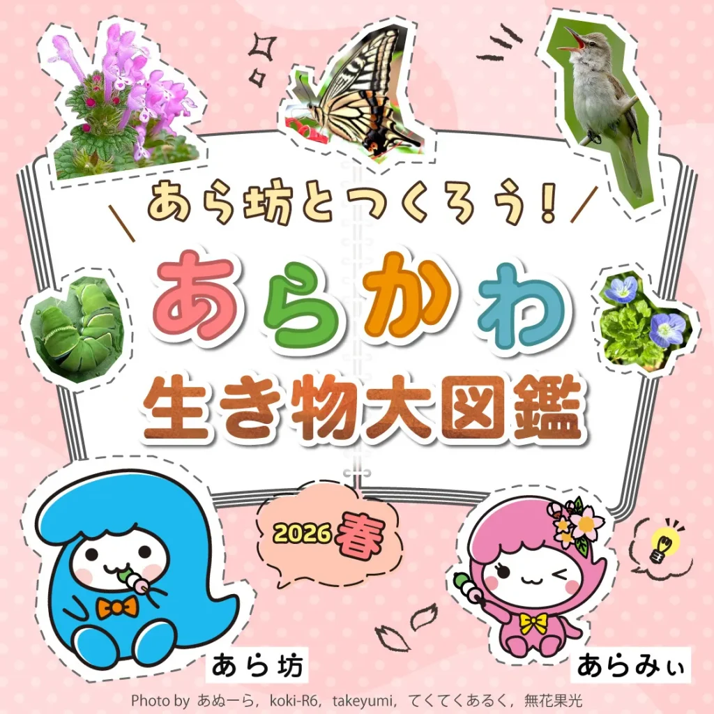 あら坊とつくろう！あらかわ生き物大図鑑2026春