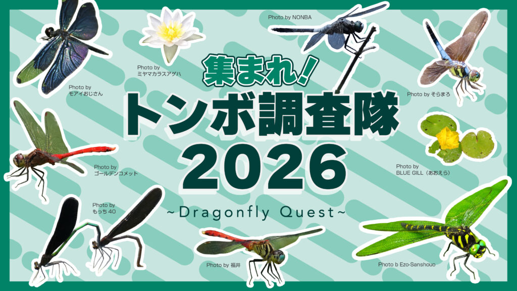 今年のテーマは「気候変動！？北上するトンボたち」　集まれ！トンボ調査隊2026