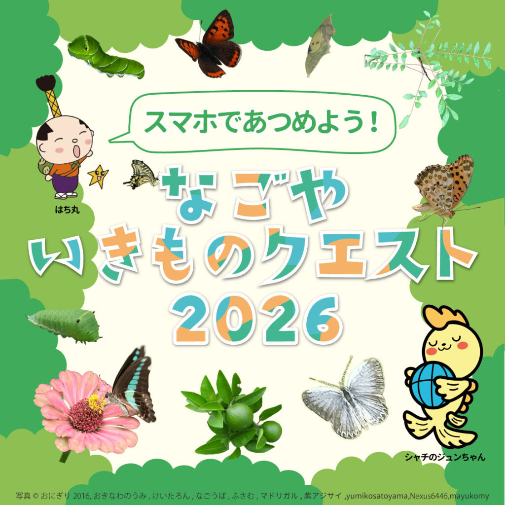 スマホであつめよう！なごやいきものクエスト2026