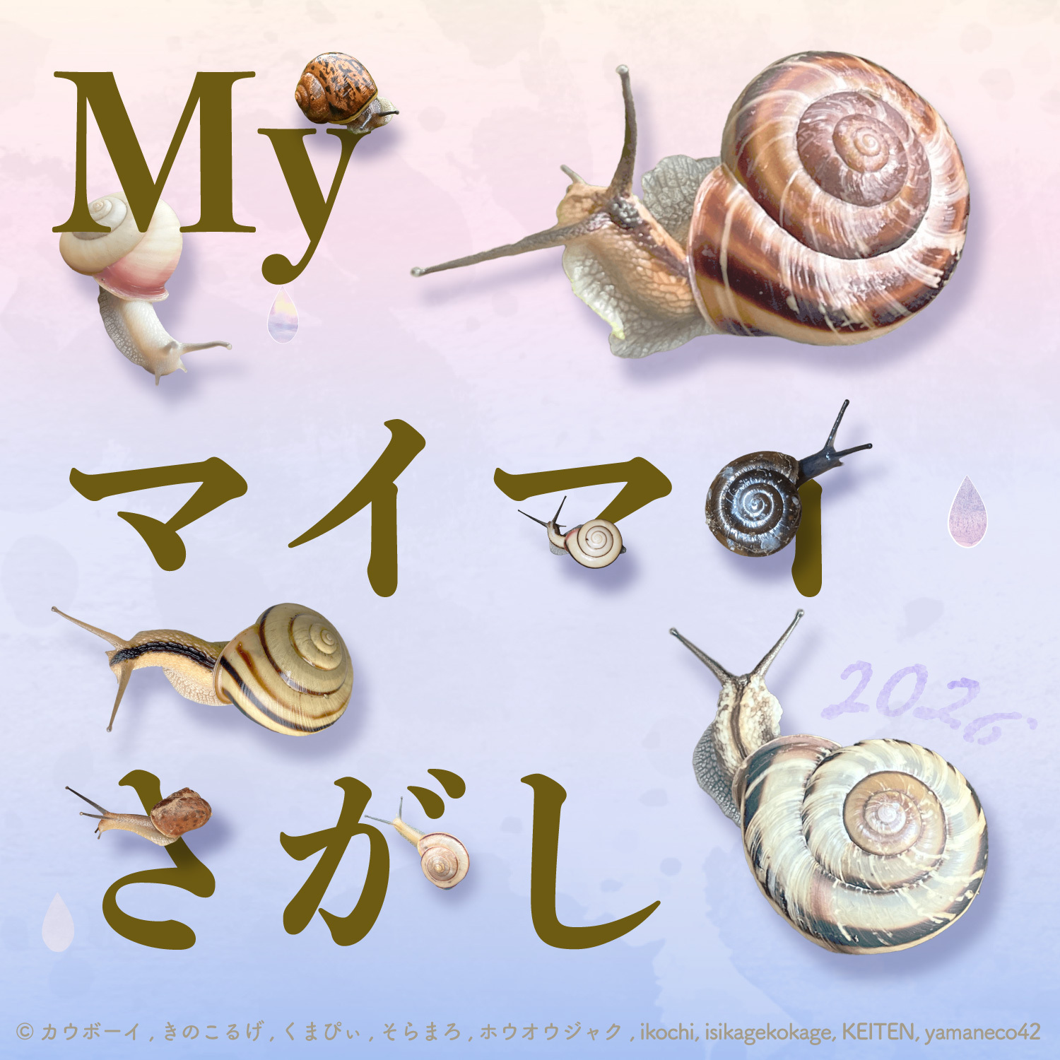 My マイマイさがし - いきもの発見日和