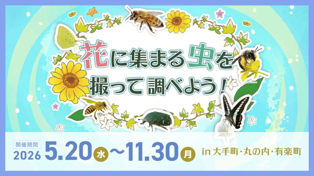 花に集まる虫を撮って調べよう！ポリネーター観察クエスト in 大手町・丸の内・有楽町