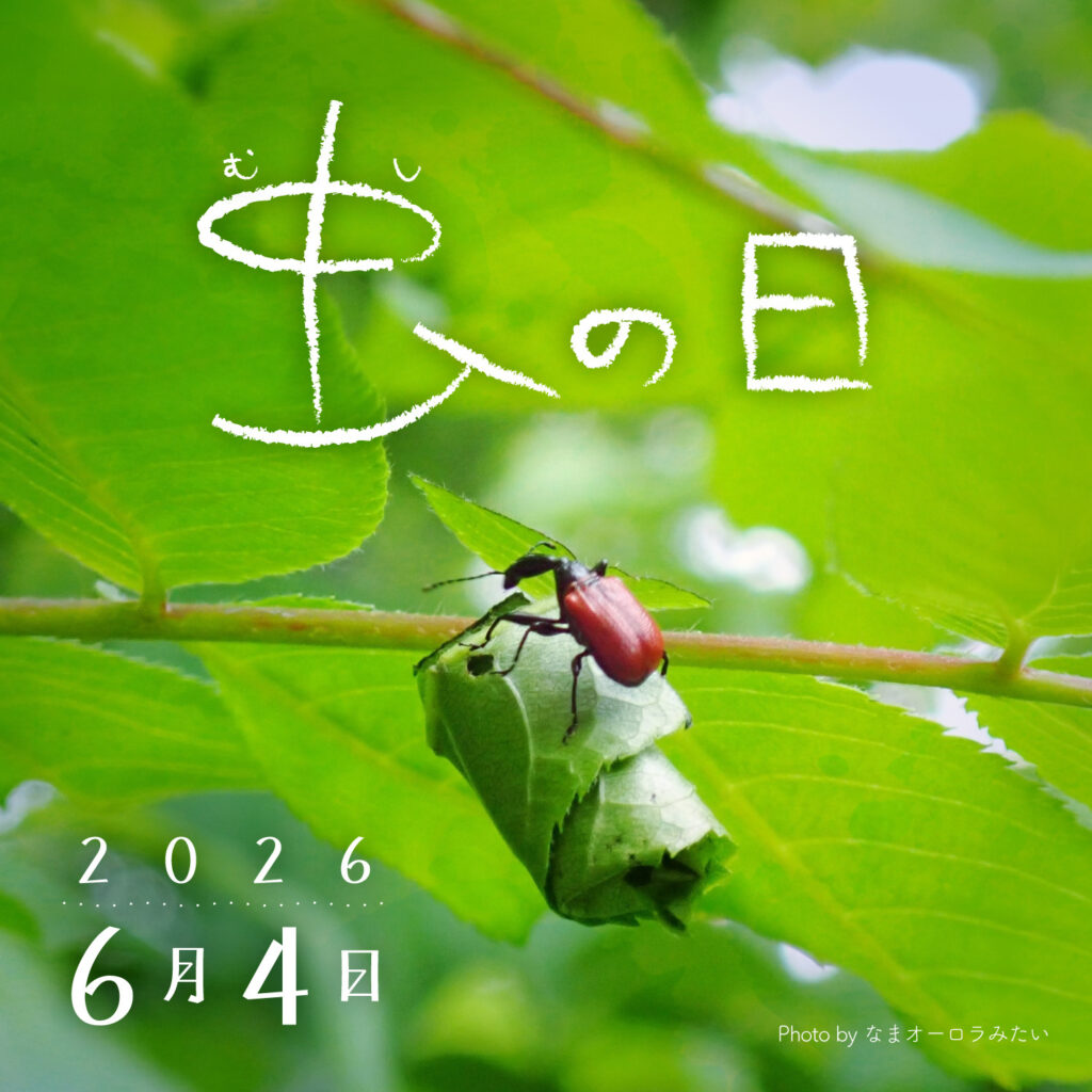 虫の日限定クエスト