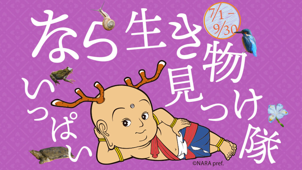 【奈良県×バイオーム第2弾！】なら 生き物いっぱい見つけ隊2026
