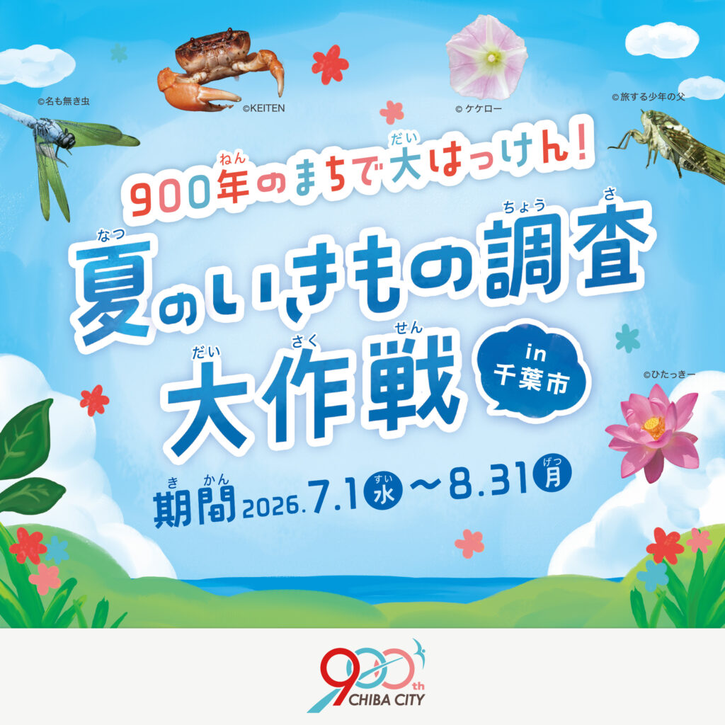 900年のまちで大はっけん！夏のいきもの調査大作戦 in千葉市
