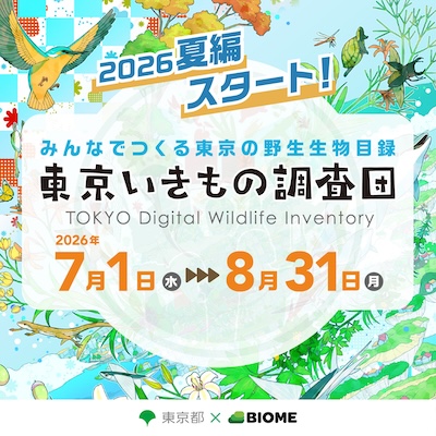 【大型いきもの調査！】東京いきもの調査団 2026 夏編