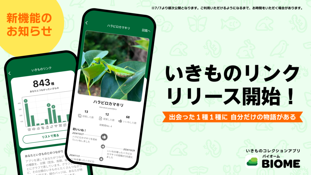 いきものリンク、リリース開始
