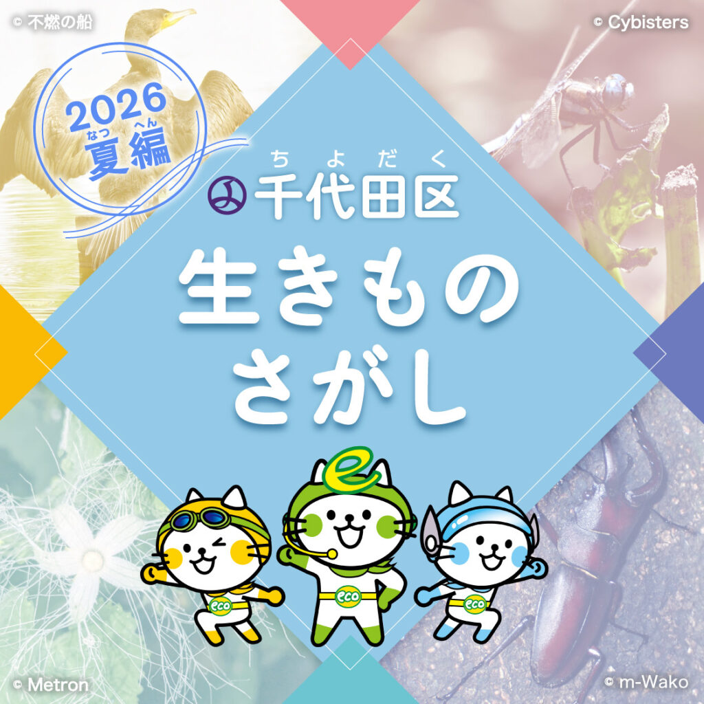 千代田区生きものさがし2026 夏編