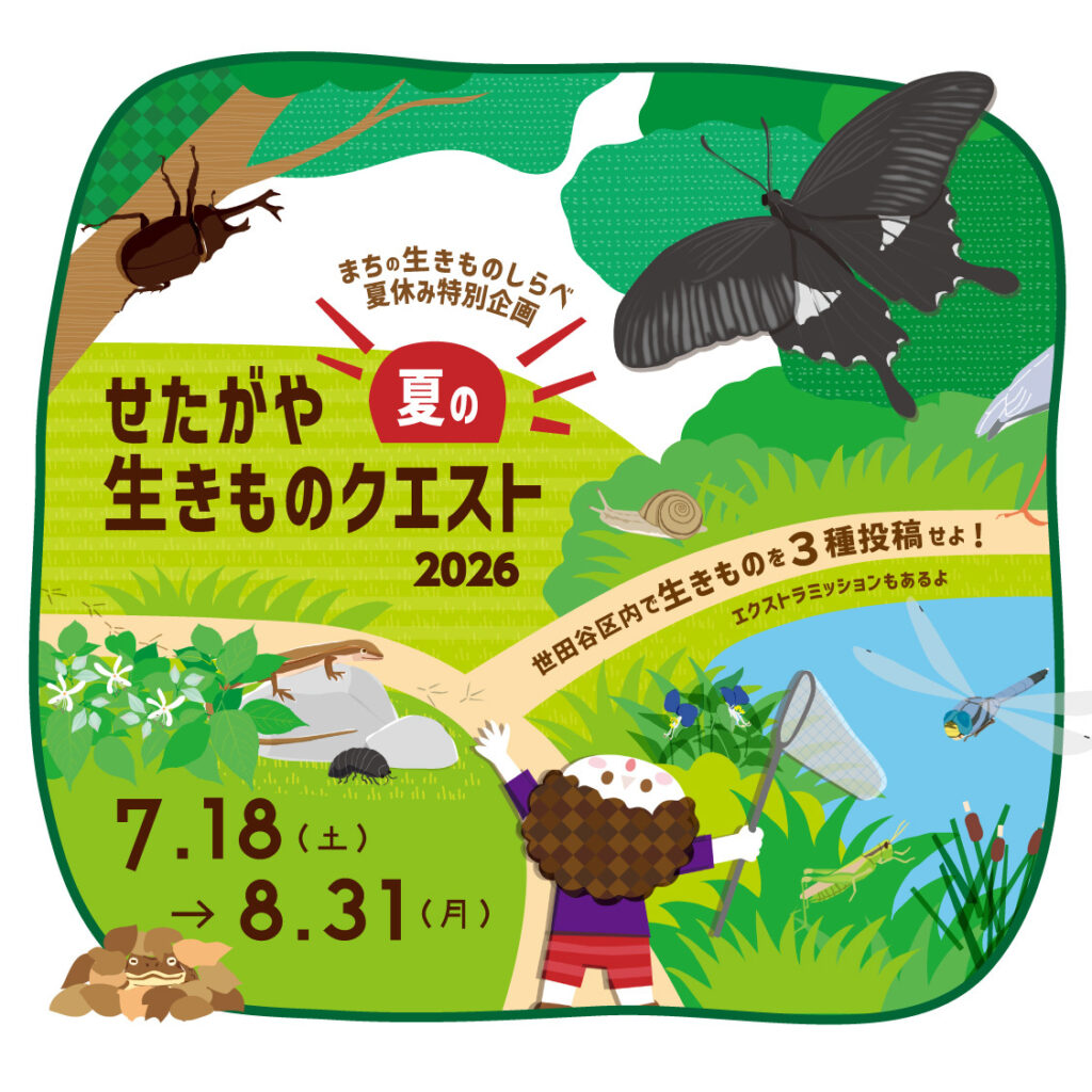 せたがや夏の生きものクエスト2026