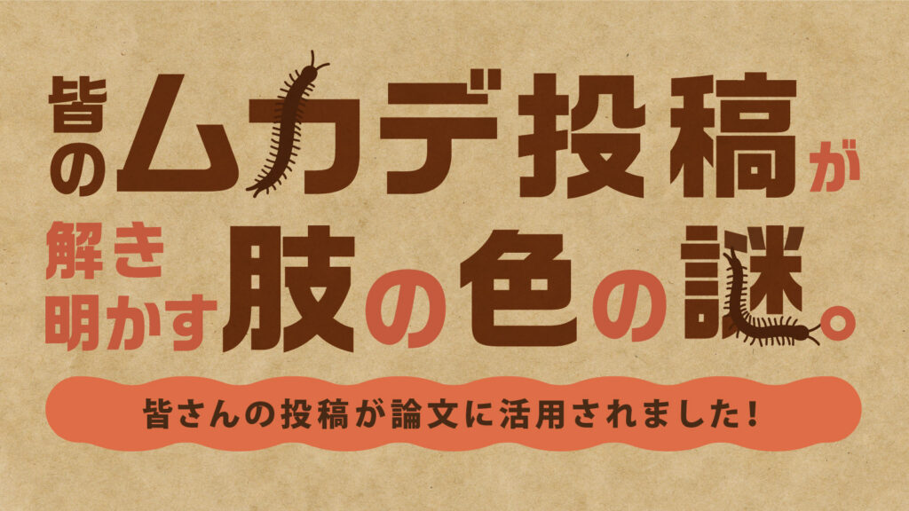 皆の「ムカデ投稿」が解き明かす、肢の色の謎