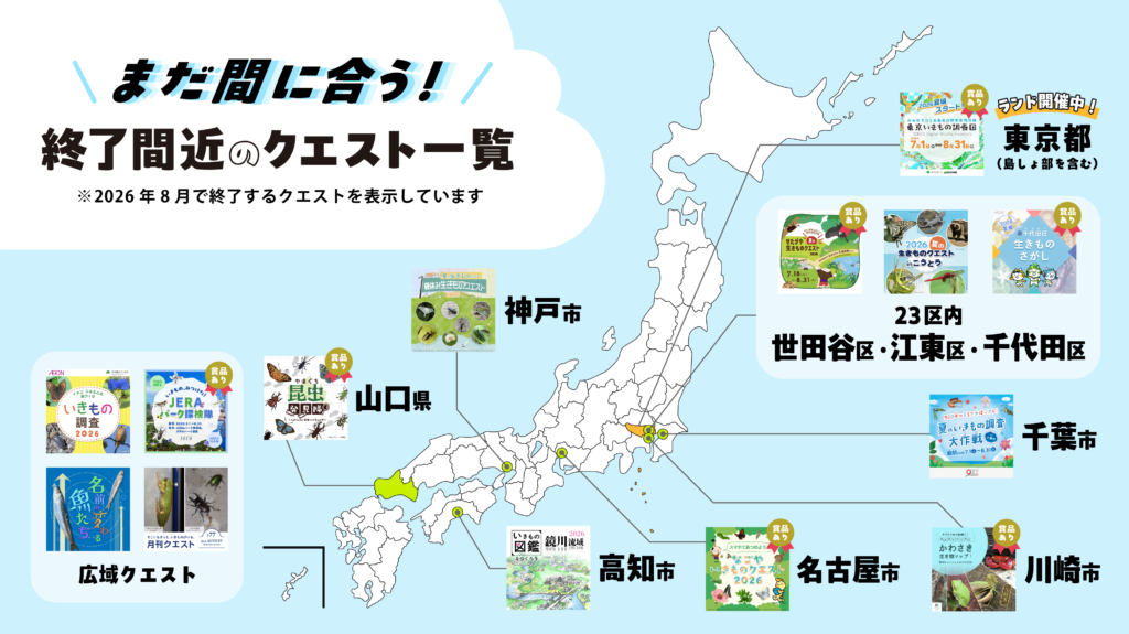 【2026年8月7日時点】まだ間に合う！終了間近のクエスト一覧
