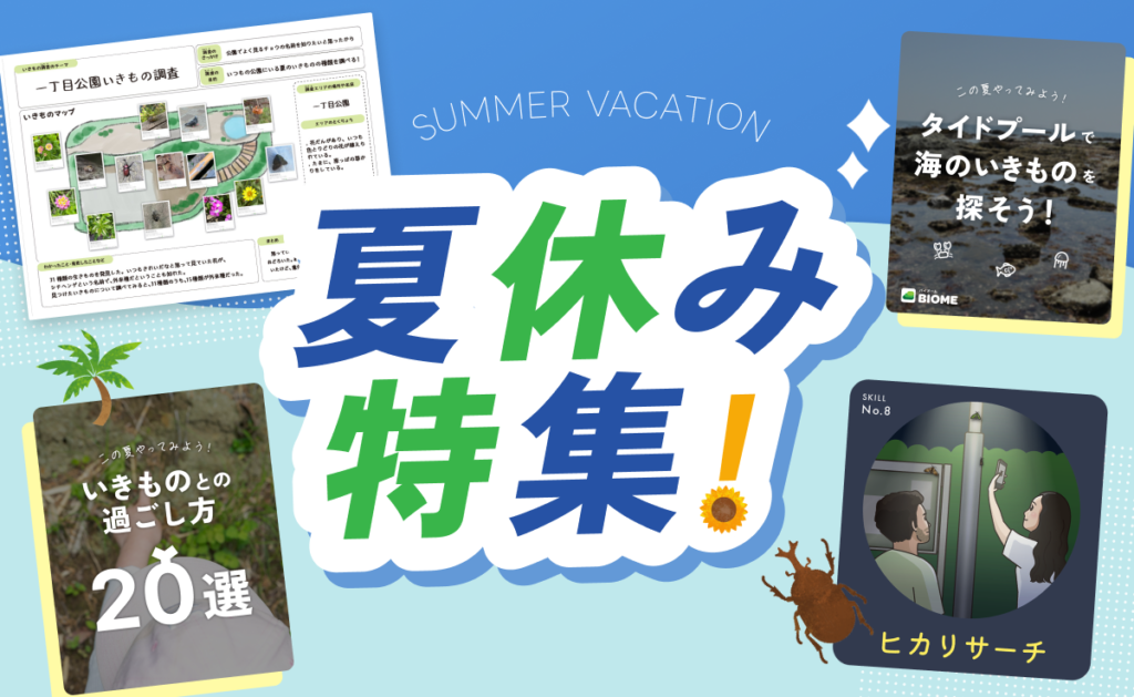 【夏休み特集】アプリBiomeを活用した、夏の遊び方まとめ