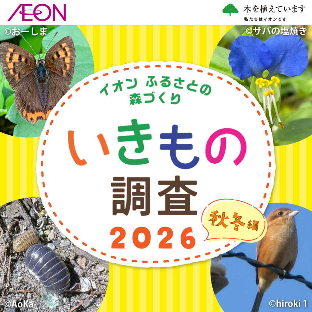 イオンふるさとの森づくり いきもの調査2026秋冬編