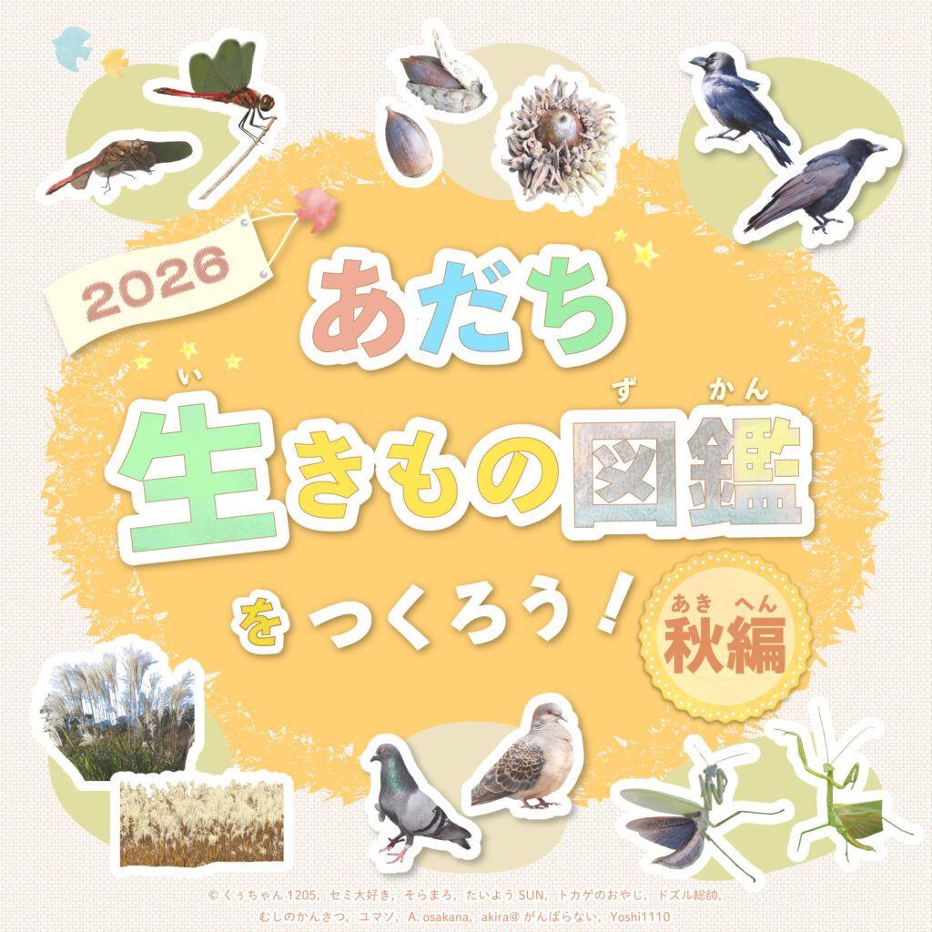 あだち生きもの図鑑をつくろう！2026 秋編