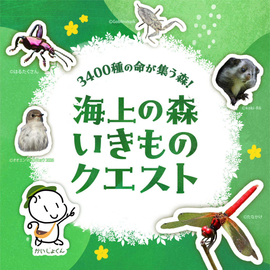 3400種の命が集う森！海上の森いきものクエスト