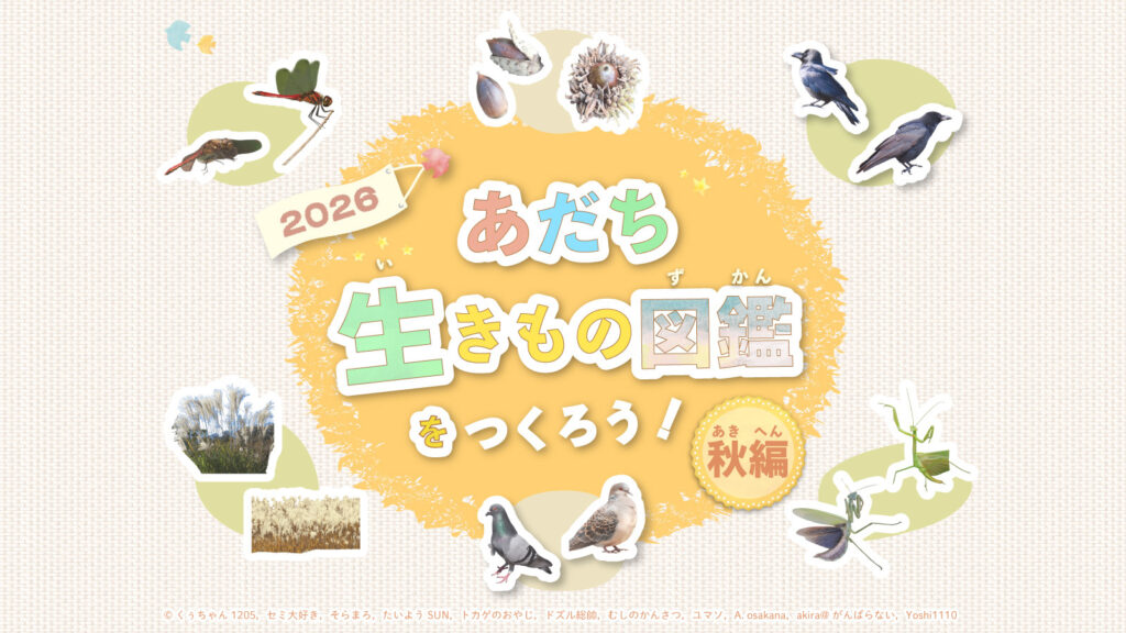 あだち生きもの図鑑をつくろう！2026秋編