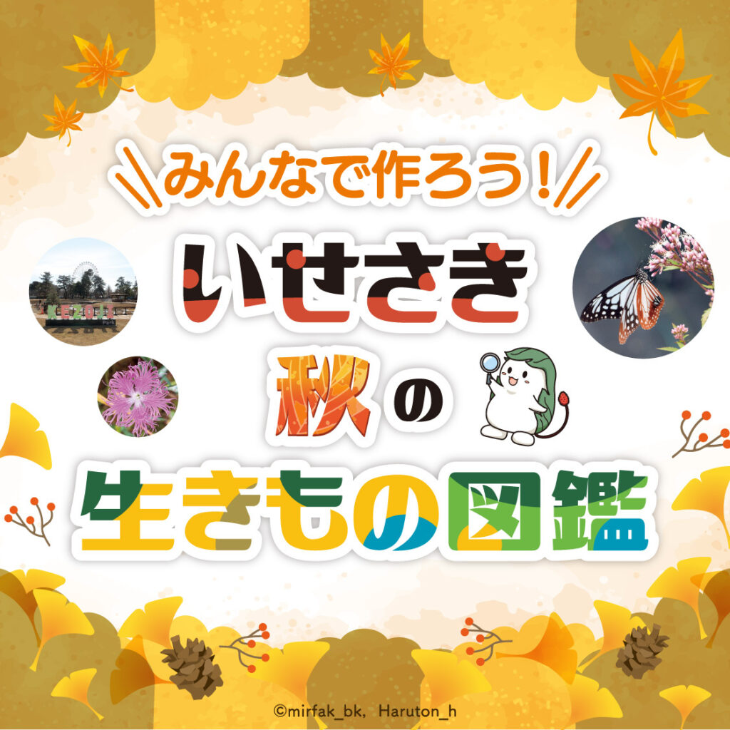 みんなで作ろう！いせさき秋の生きもの図鑑