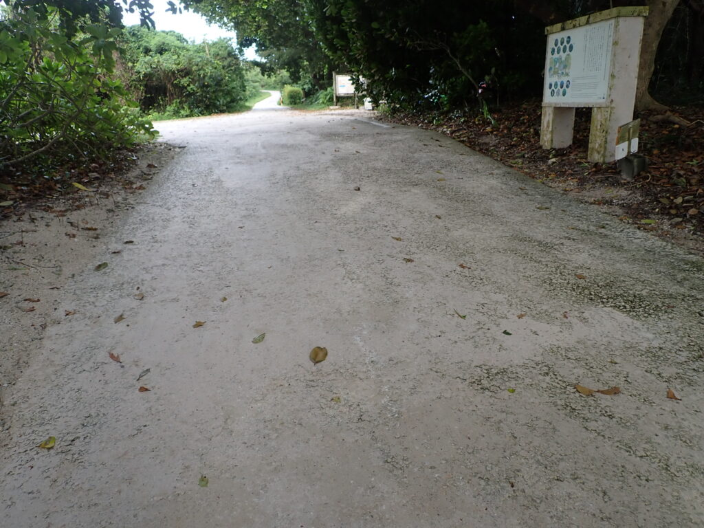 石垣島の浜