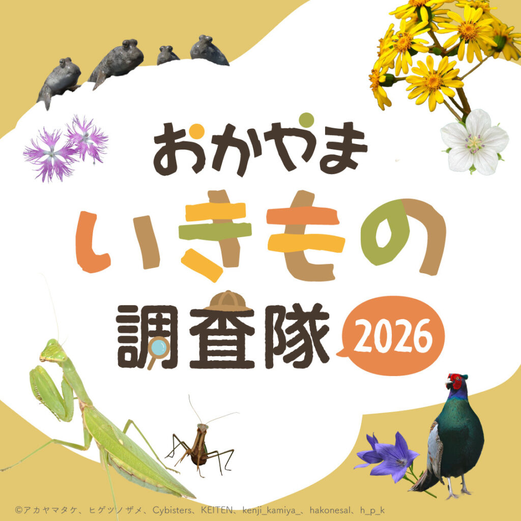 スマホでさがそう！おかやまいきもの調査隊2026