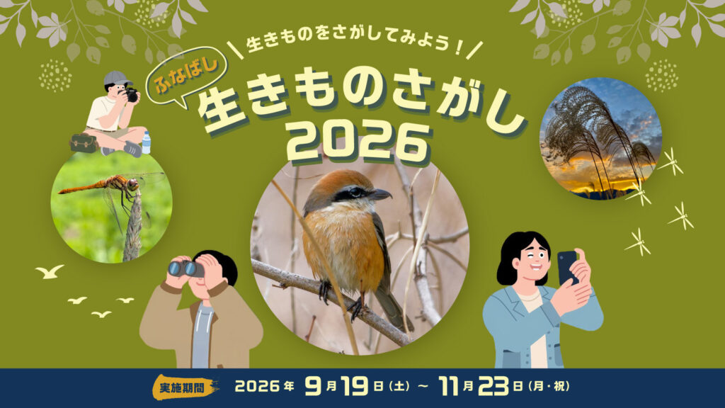 アプリで参加しよう！ふなばし「生きものさがし2026」
