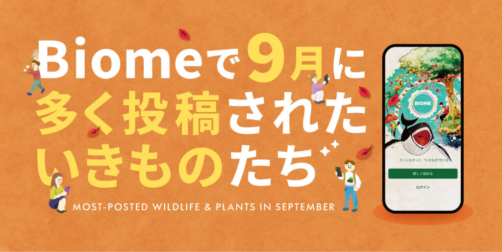 夏から秋へ。アプリBiomeで楽しむ9月のいきもの観察