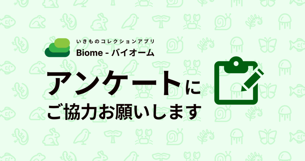 【アンケートご協力のお願い】あなたの冬の生き物探しを教えてください